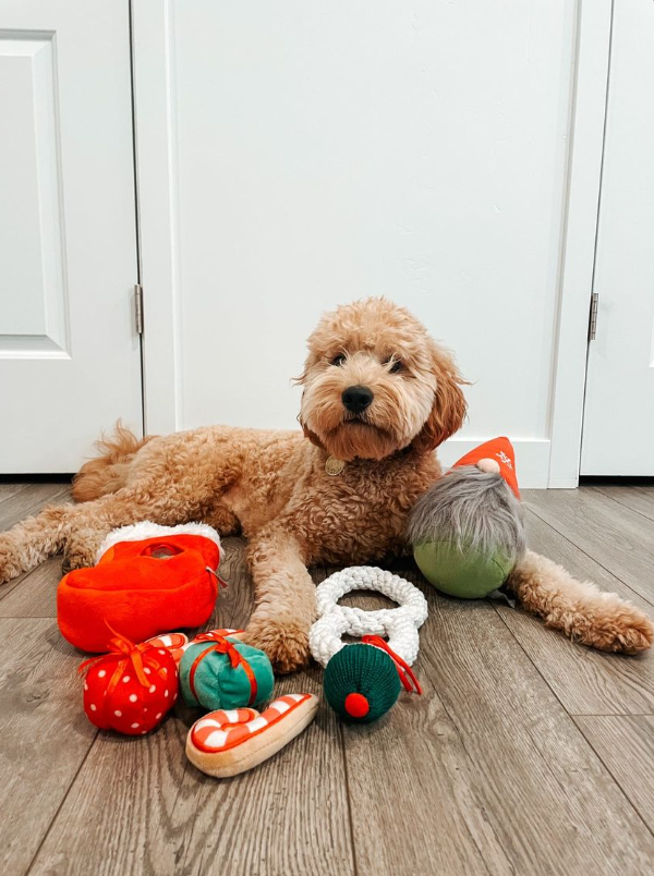 Midlee Designs - Midlee Find a Toy Christmas Stocking Dog Toy