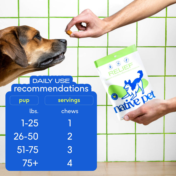 Native Pet - Relief Chews, Hip & Joint Supplement for Dogs: 30ct