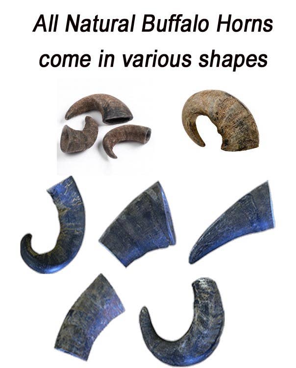 Klearwater Distribution - Water Buffalo Horn Dog Treat / Chew: Small