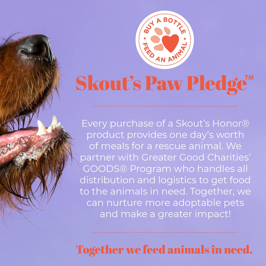 Pet Palette Distribution - Skout's Honor Oral Care Water Additive: Flavorless 32 oz