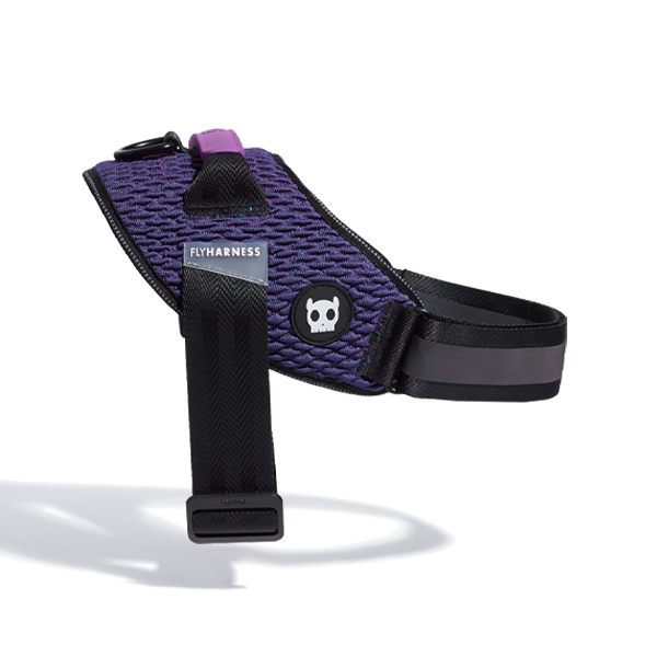Zee.Dog - Wicked | FlyHarness: Size 2