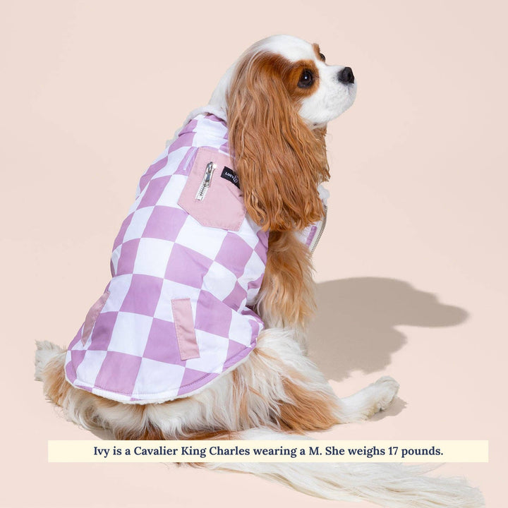 The Checked Out Reversible Teddy Vest: Small
