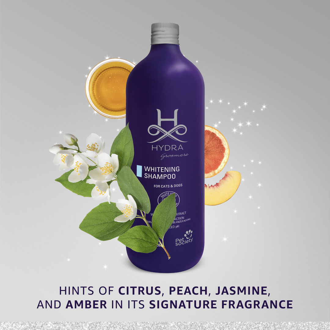 Hydra by Pet Society - Hydra Professional Whitening Shampoo: 33.8 oz/ 1L