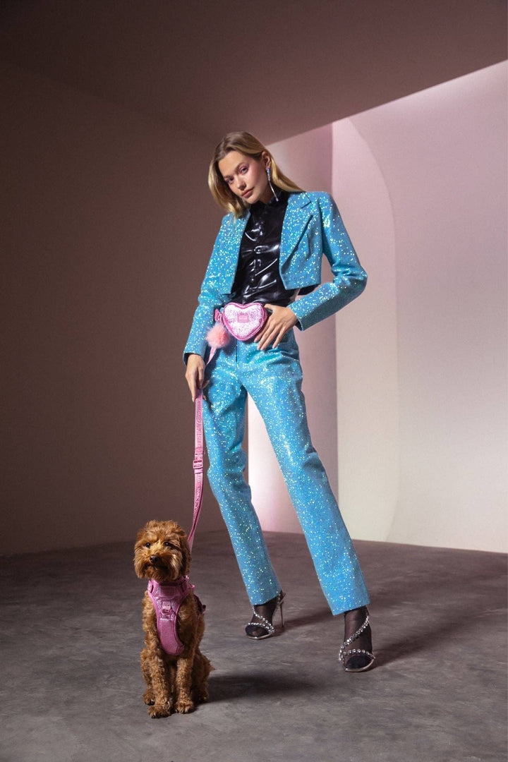 maxbone - Christian Cowan x maxbone Glitz Walk Set for Dogs: Small