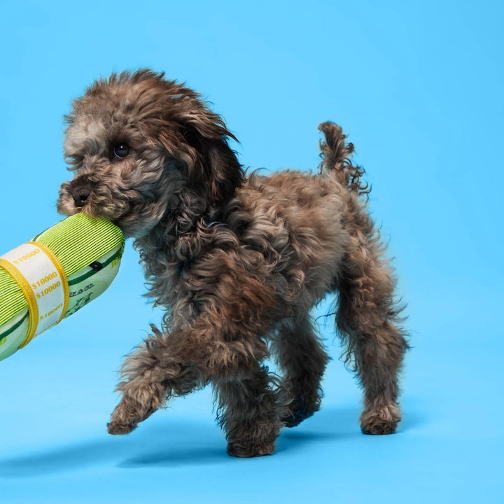 BARK Doggo Doggo Bills, Y’all