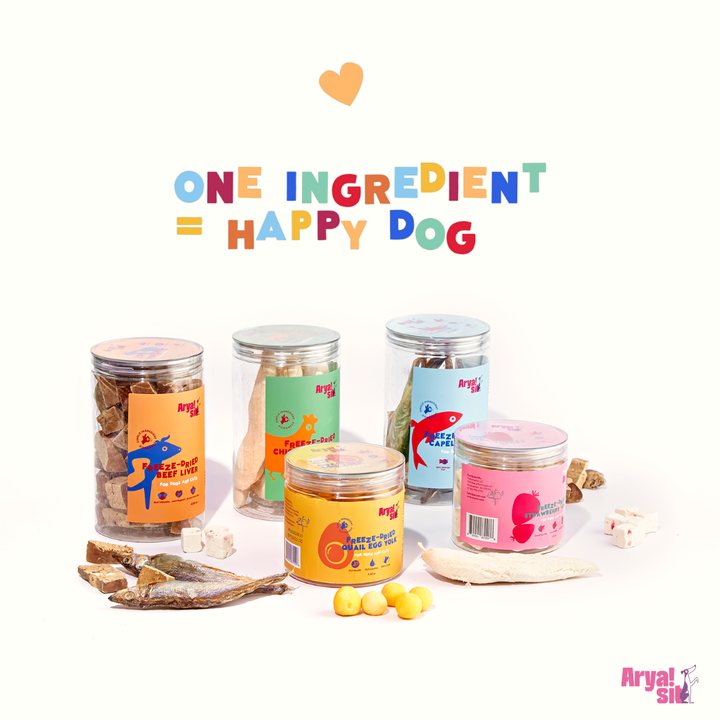 Arya Sit - Freeze-Dried Cat Grass