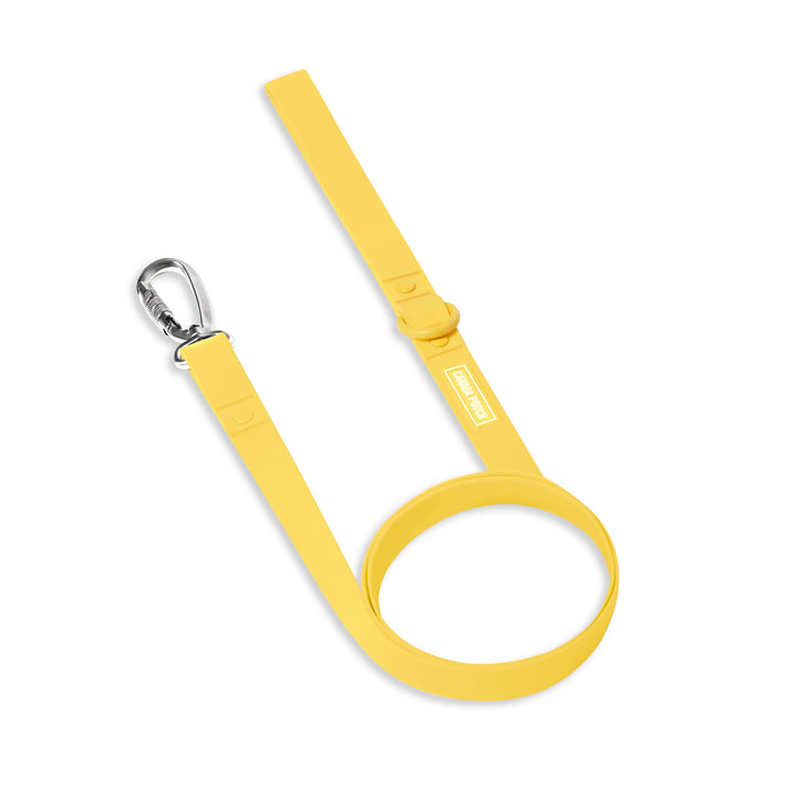 Canada Pooch - Waterproof Dog Leash (Yellow): S/M / Yellow