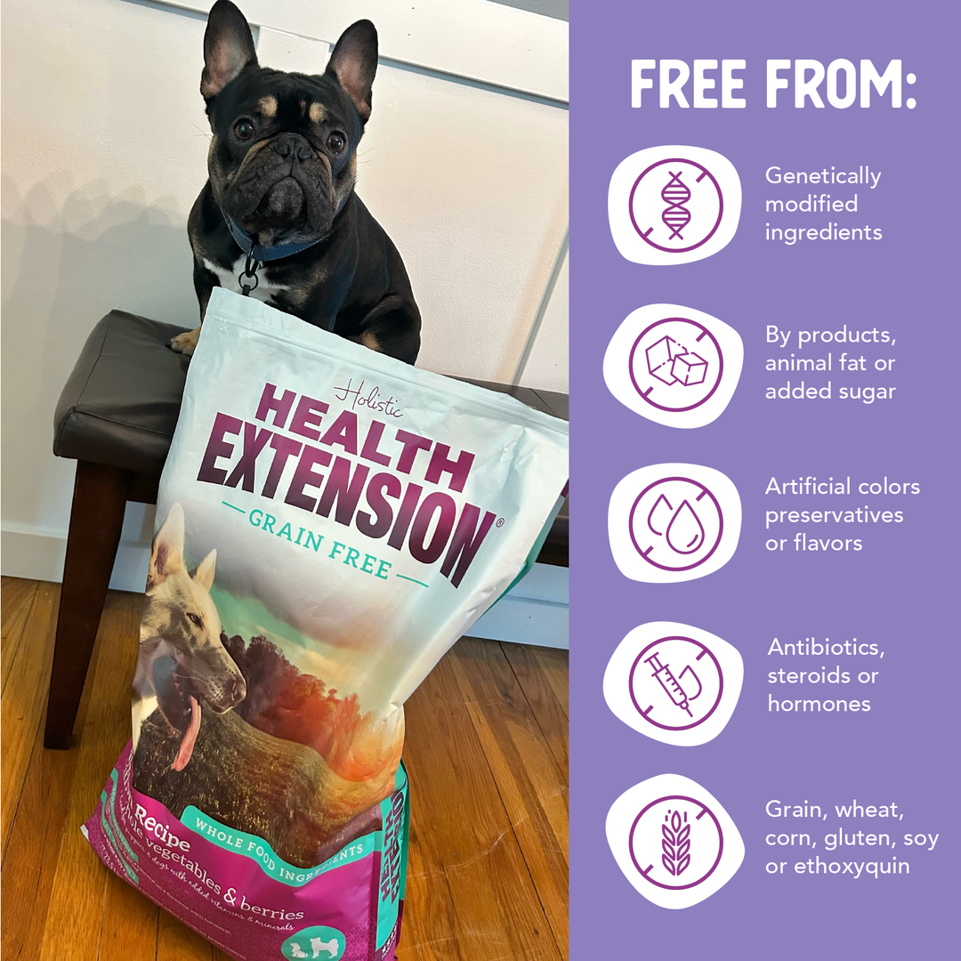 Health Extension Pet Care - Grain Free Salmon & Sweet Potato Recipe: 4 lbs