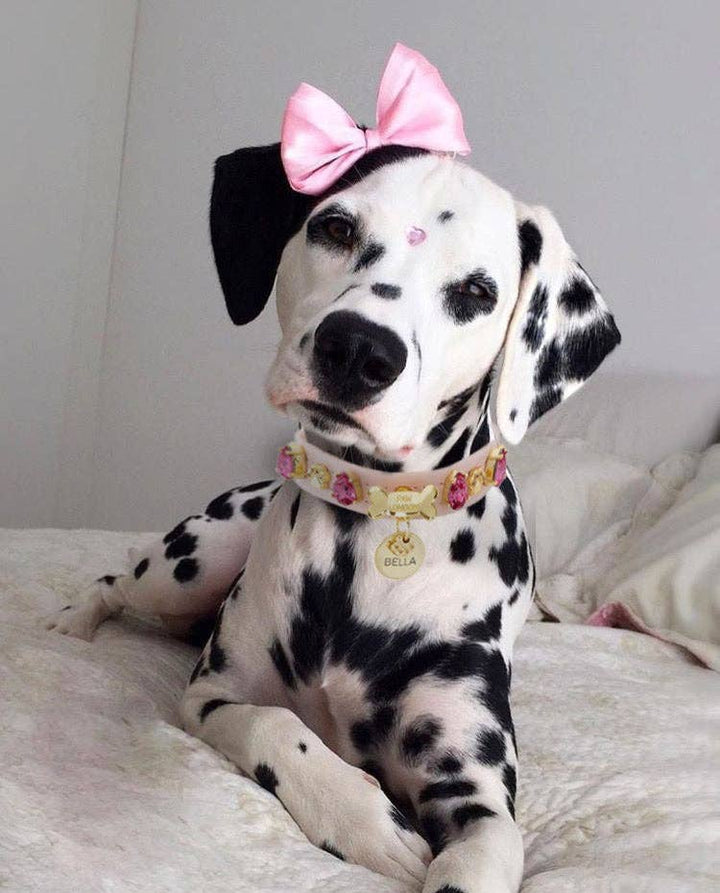 Paw London - Chelsea Pink Swarovski Dog Harness + Collar +  Chain Leash: S / No