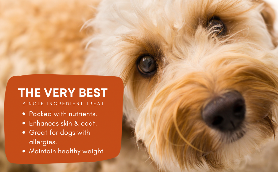 Live Pawsitive - Rabbit Sausage for Dogs