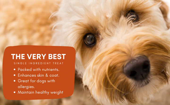 Live Pawsitive - Rabbit Sausage for Dogs