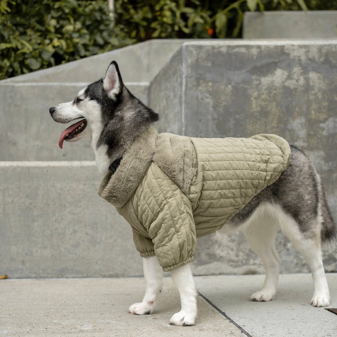 Lambwolf Collective - SOHO//DOG CLOTHING//APPAREL: Dunes / M