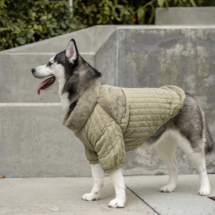 Lambwolf Collective - SOHO//DOG CLOTHING//APPAREL: Dunes / XL