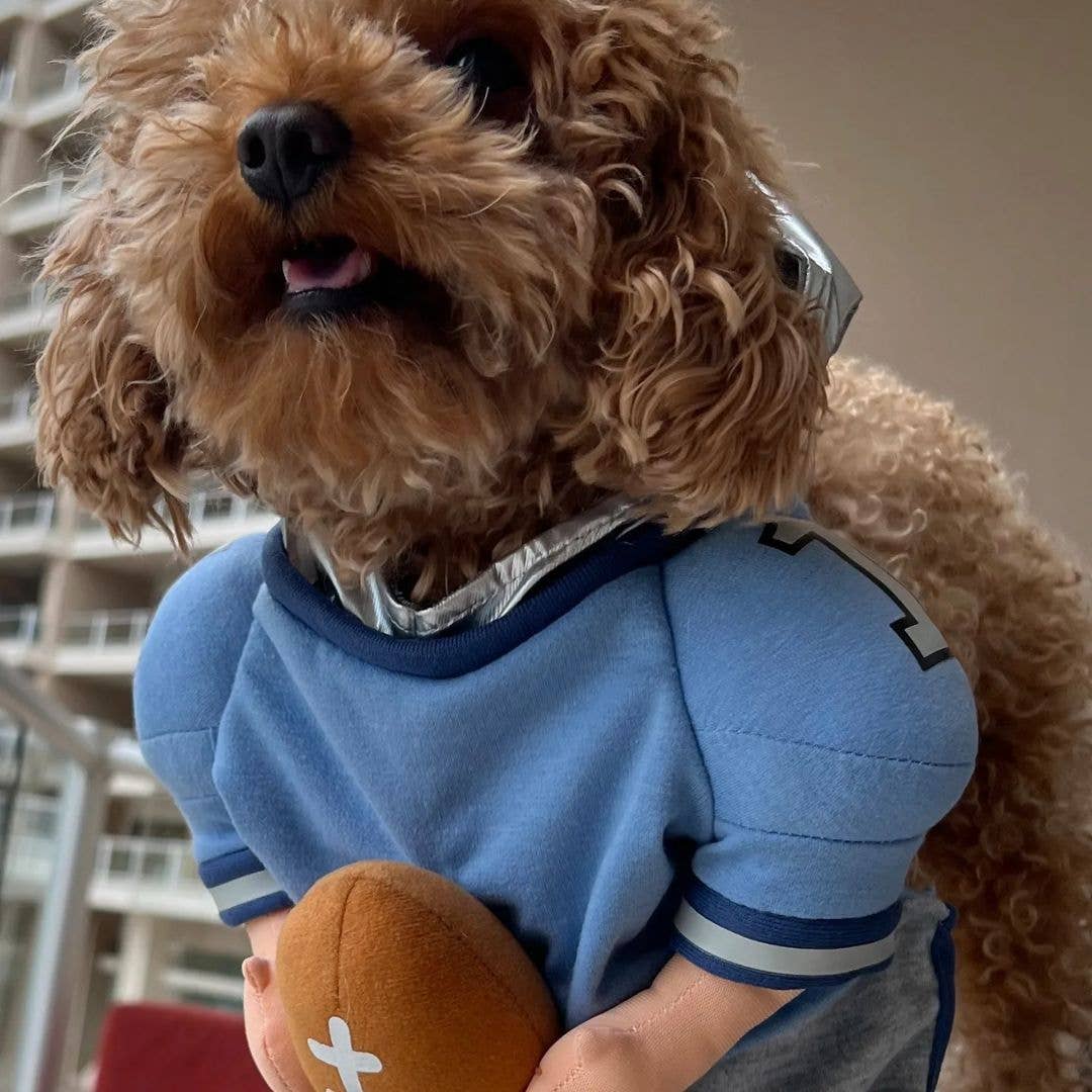 Show & Tail - Pet Apparel - QuarterBark: XS