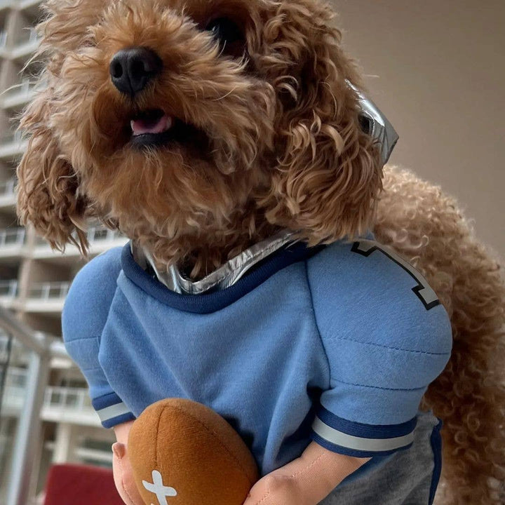 Show & Tail - Pet Apparel - QuarterBark: XS