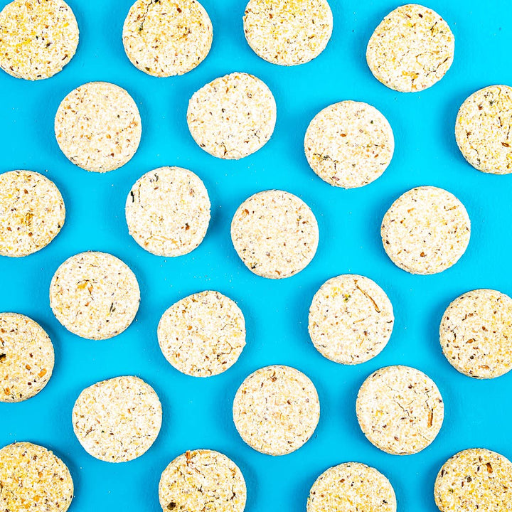 Winnie Lou - The Canine Co. - Zucchini Squash Biscuits