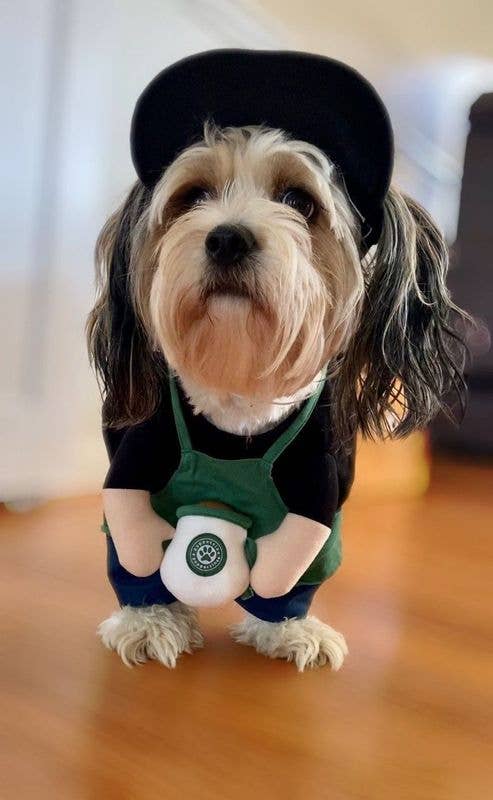 Show & Tail - Pet Apparel - Starbarks: XS