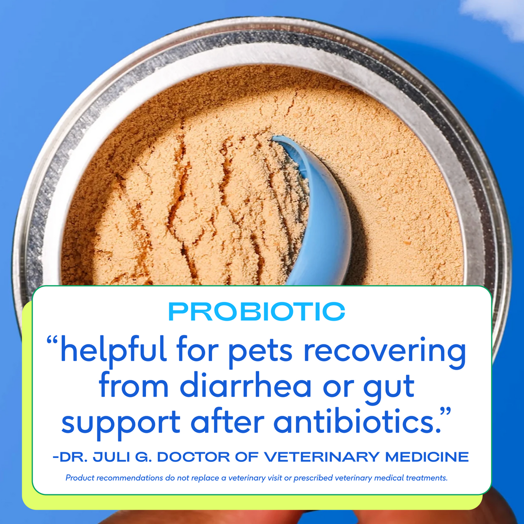 Native Pet - PROBIOTIC: 4.1 oz