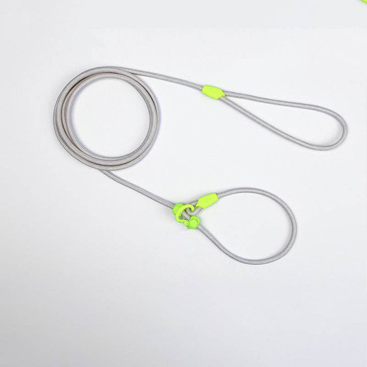 Cheerhunting - Loofie - Lightweight Nylon Dog Leash: Blue