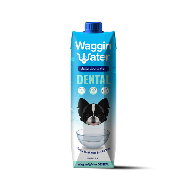 Waggin Water - Waggin Water Dental Infused for Dogs, 1L