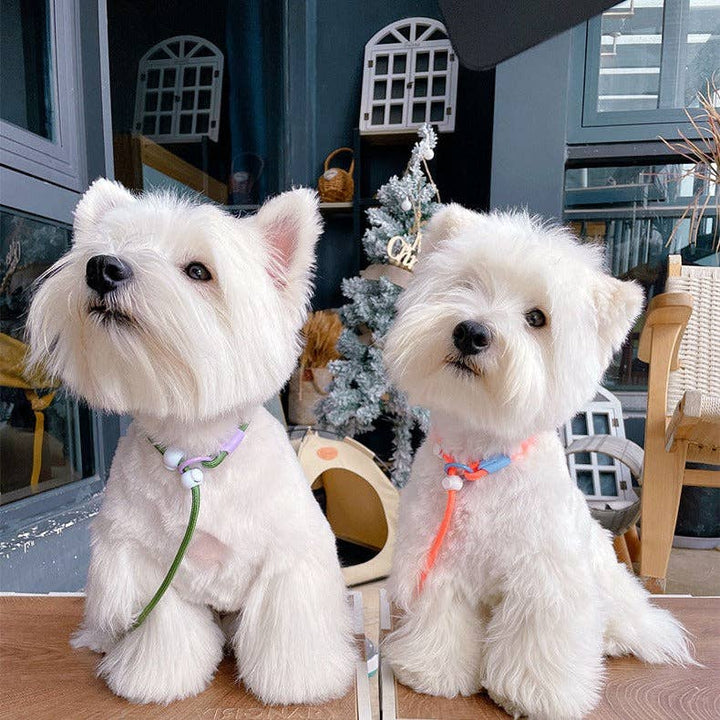 Cheerhunting - Loofie - Lightweight Nylon Dog Leash: Blue