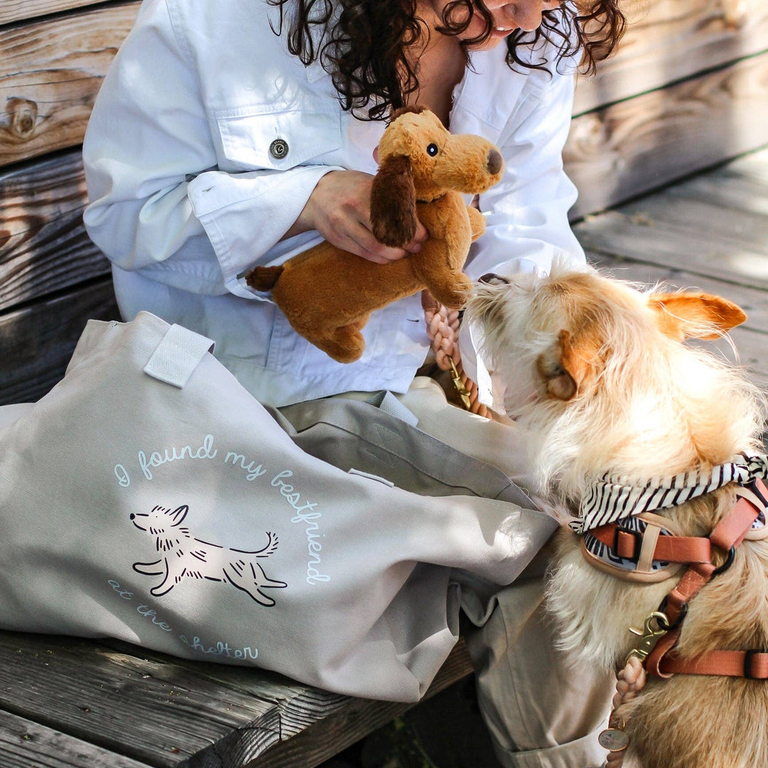 Bop Pop Pets - OVERSIZE Canvas Tote Bag | Mocha