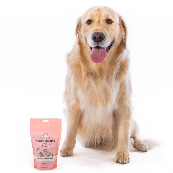 Coconut Salmon Soft Chew Dog Treats, 2.5oz Case