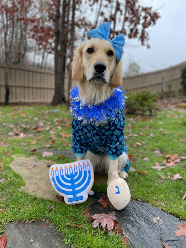 Midlee Designs - Midlee Dreidel Hanukkah Dog Toy