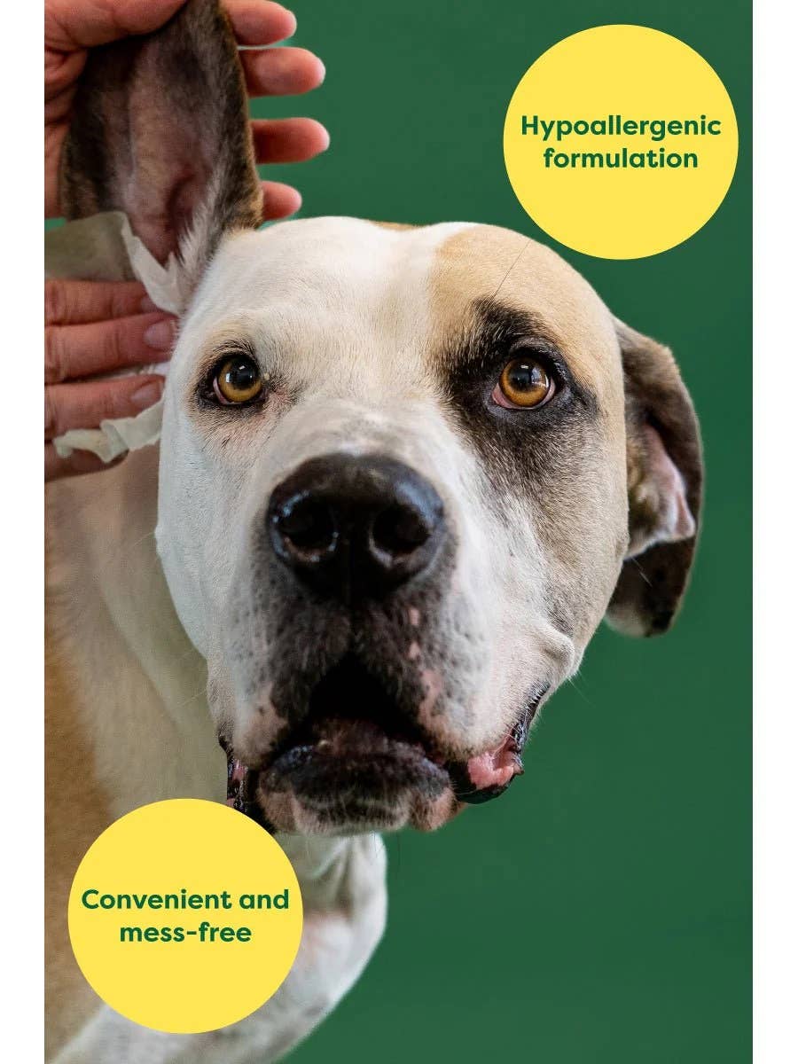 Pet Palette Distribution - Earth Rated Dog Ear Cleansing Wipes 60ct Case of 6