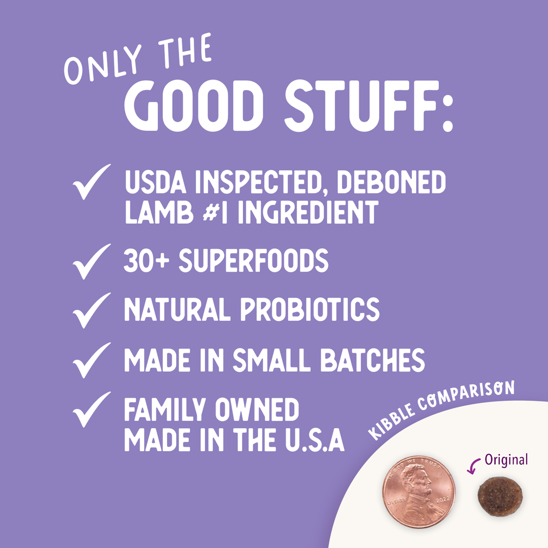 Health Extension Pet Care - Lamb & Brown Rice Recipe: 15 lbs