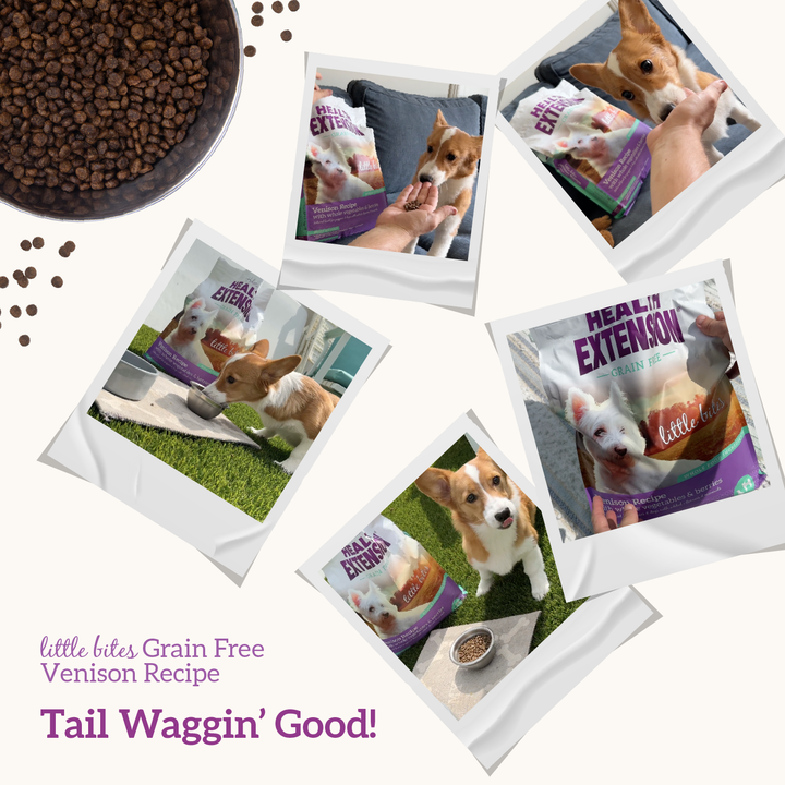 Health Extension Pet Care - Grain Free Venison & Sweet Potato Little Bites Recipe: 3.5lb