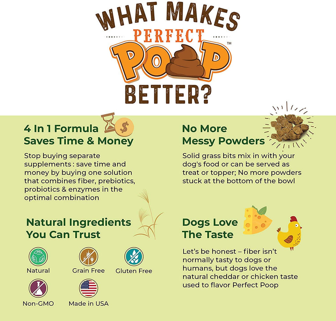 Klearwater Distribution - BERNIE'S PERFECT POOP Digestion & General Health Supplement: Cheese / 4.2 Oz