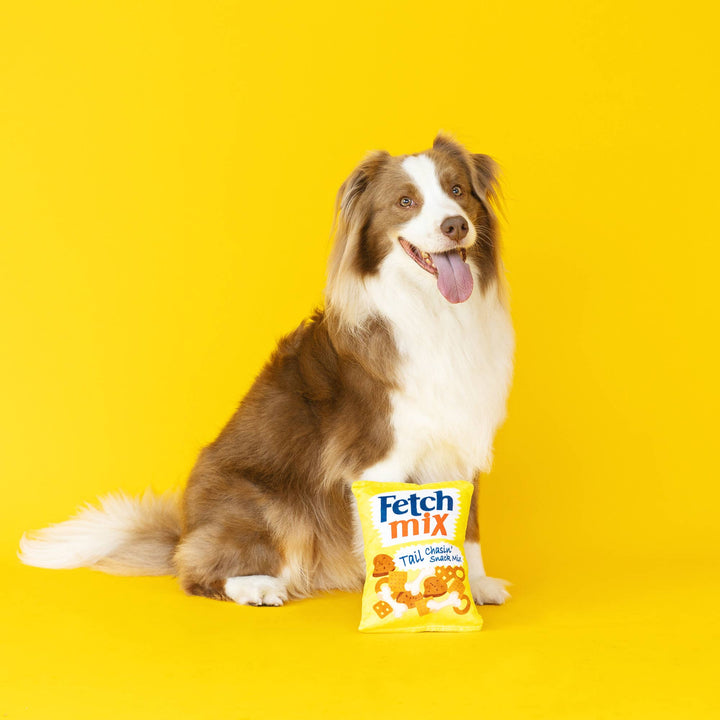 Pet Palette Distribution - Wagsdale Fetch Mix Plush Dog Toy