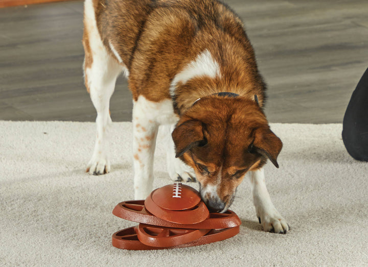 Hunger for Words and Brightkins - Brightkins™ Football Treat Puzzle