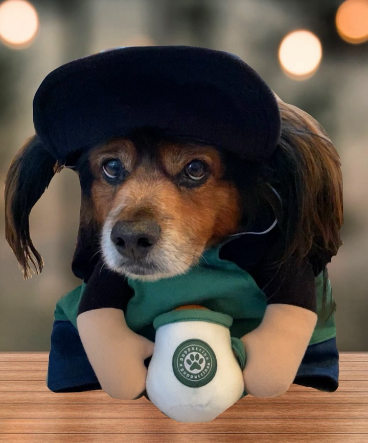 Show & Tail - Pet Apparel - Starbarks: XS