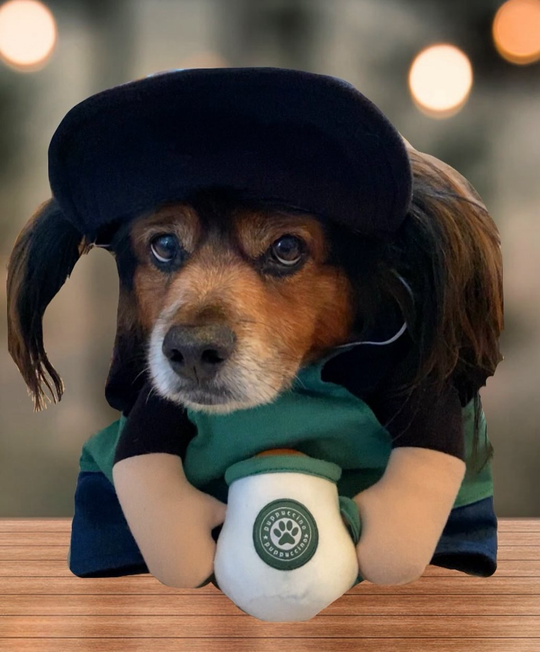 Show & Tail - Pet Apparel - Starbarks: XL