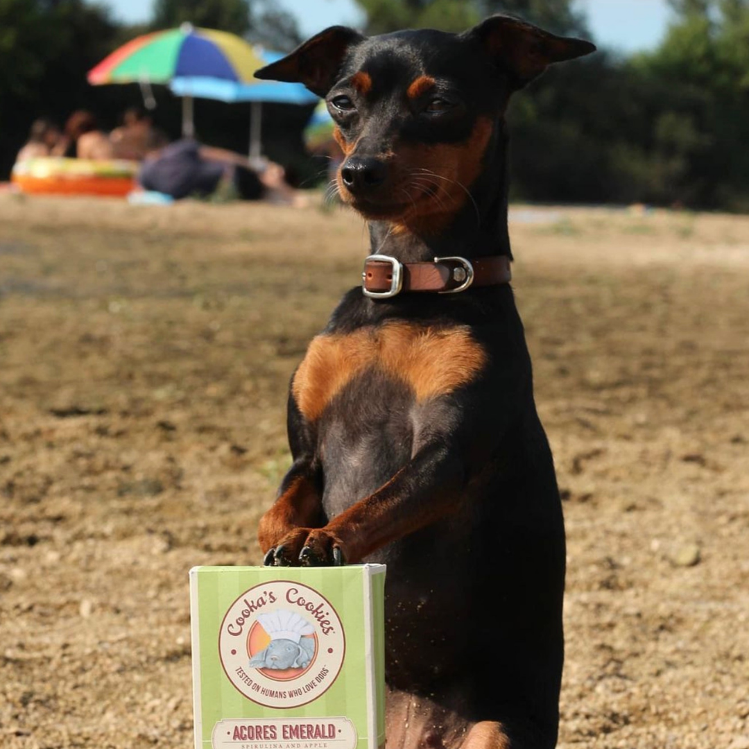 Cooka's Cookies - Acores Emerald - Natural Dog Treats with Superfoods