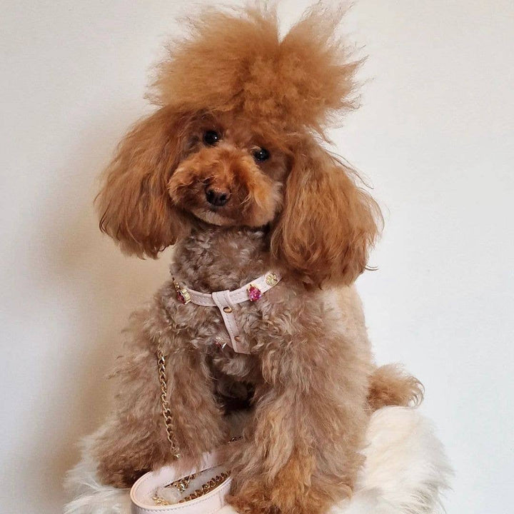 Paw London - Chelsea Pink Swarovski Dog Harness + Collar +  Chain Leash: S / No