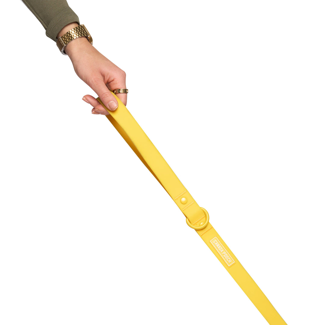 Canada Pooch - Waterproof Dog Leash (Yellow): S/M / Yellow