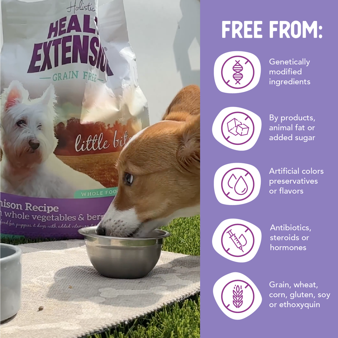 Health Extension Pet Care - Grain Free Venison & Sweet Potato Little Bites Recipe: 3.5lb