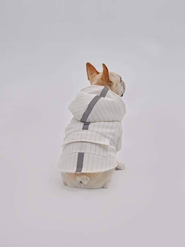 PEHOM - Pet Pehomie Reflective X Hoodie: S