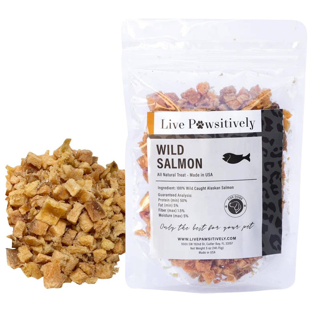 Live Pawsitive - Wild Salmon ,  Dried treat for Dogs