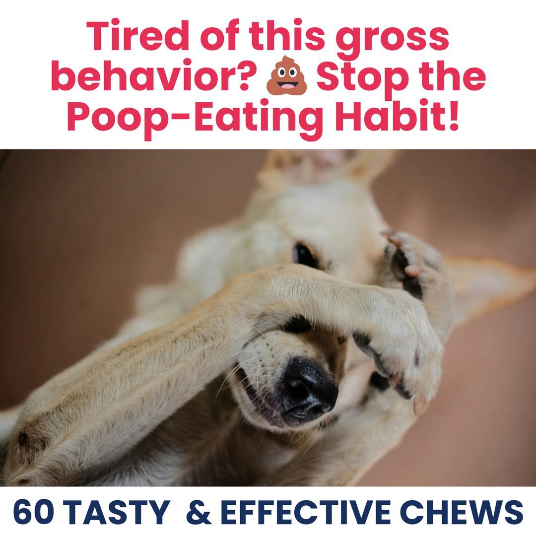 Under the Weather Pet - Poop Eating Deterrent - Coprophagia Soft Chews For Dogs
