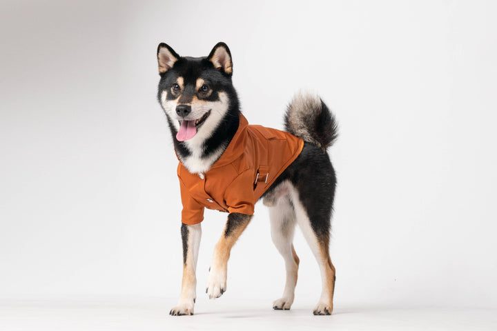 PEHOM - Raincoat - Orange: XS