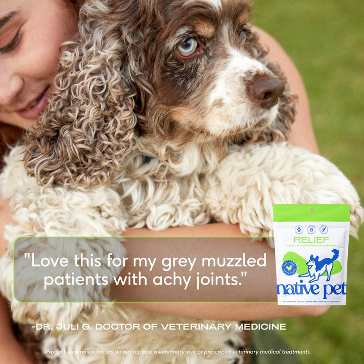 Native Pet - Relief Chews, Hip & Joint Supplement for Dogs: 30ct