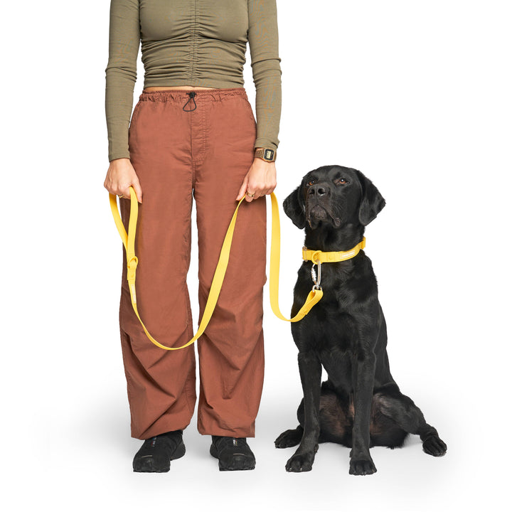 Canada Pooch - Waterproof Dog Leash (Yellow): S/M / Yellow