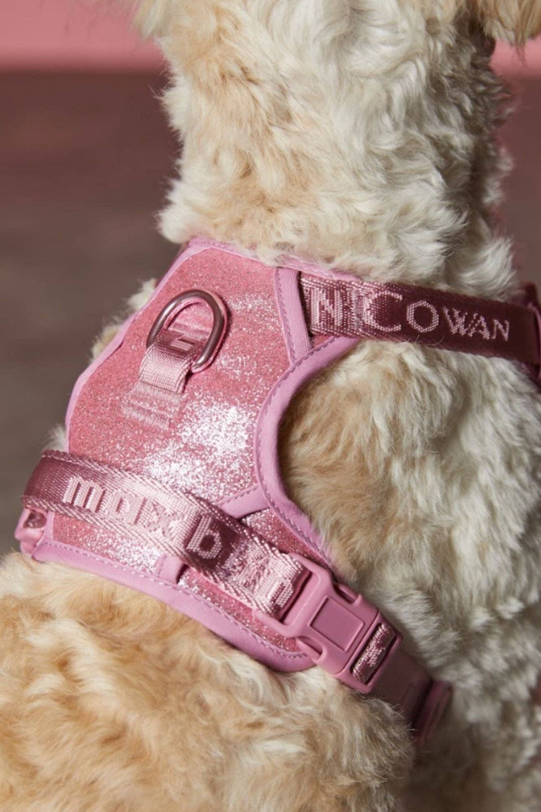 maxbone - Christian Cowan x maxbone Glitz Walk Set for Dogs: Small