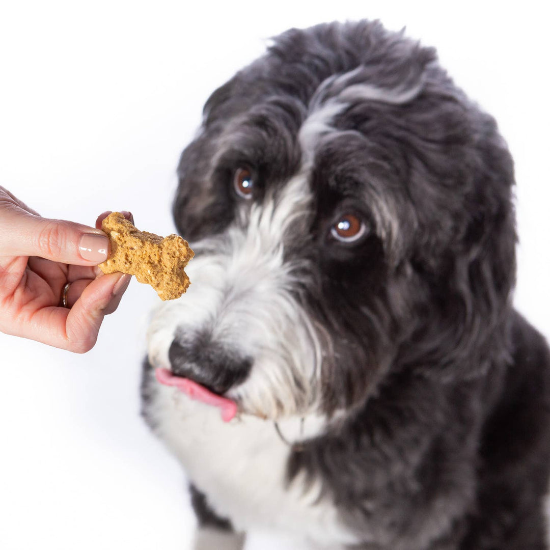 Peanut Butter & Honey Chewy Dog Treats, 1.5oz Case