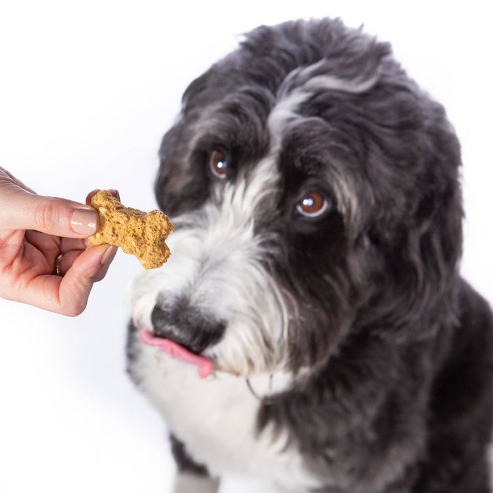 Peanut Butter & Honey Chewy Dog Treats, 1.5oz Case