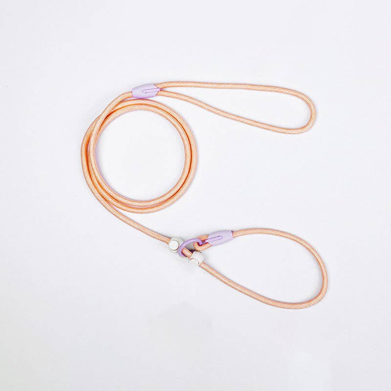 Cheerhunting - Loofie - Lightweight Nylon Dog Leash: Pink